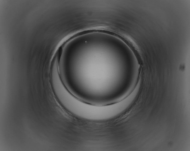 X0000091641324200708231150