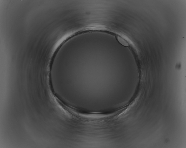 X0000091641325200708231150