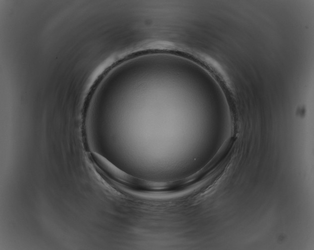 X0000091641326200708231150