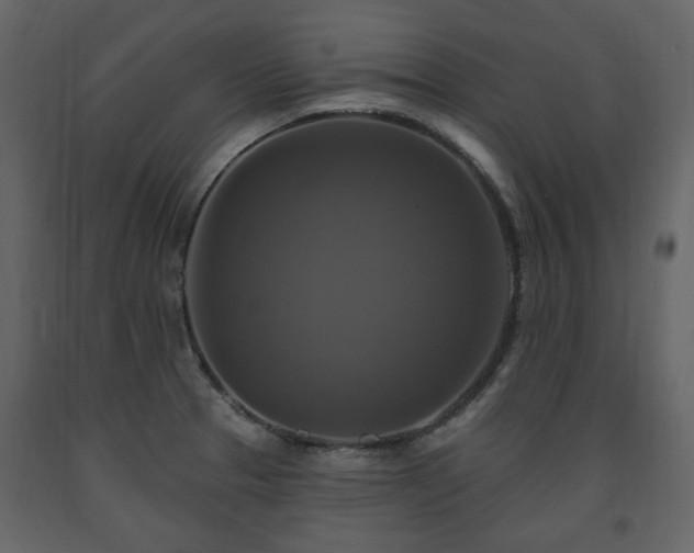 X0000091641329200708231150
