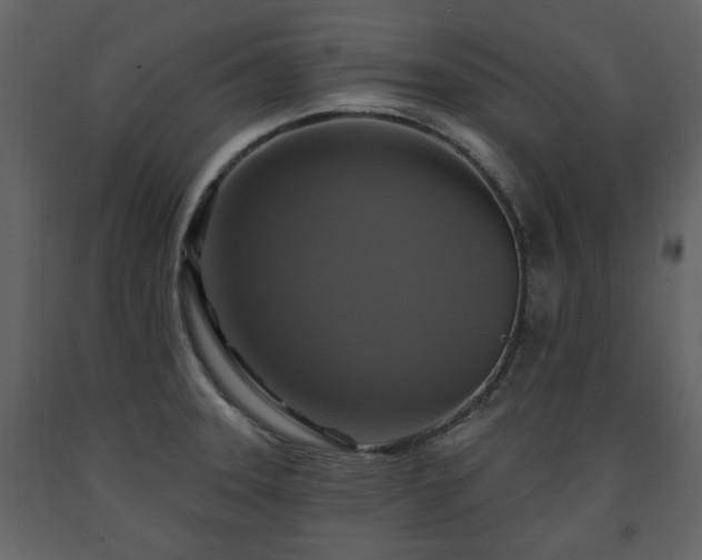 X0000091641331200708231150