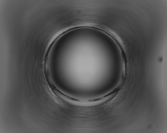 X0000091641332200708231150