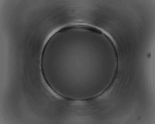 X0000091641333200708231150