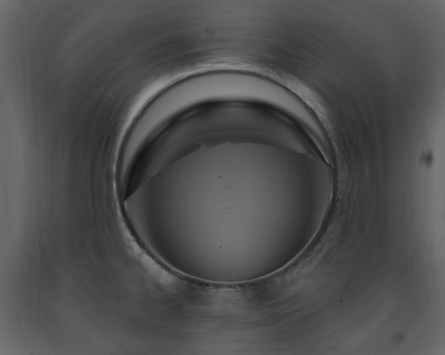 X0000091641334200708231150