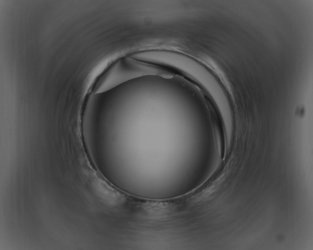 X0000091641336200708231150