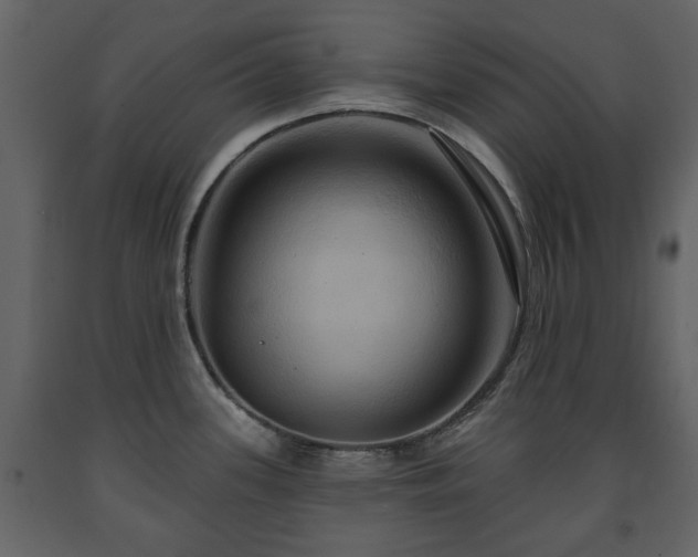 X0000091641339200708231150