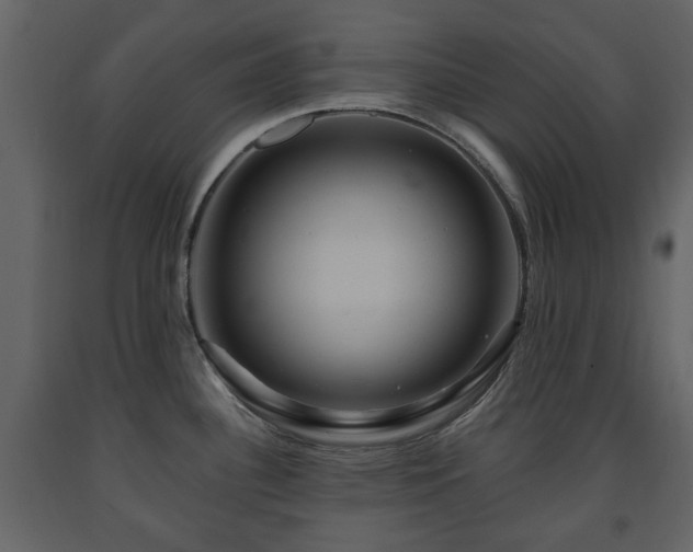 X0000091641340200708231150