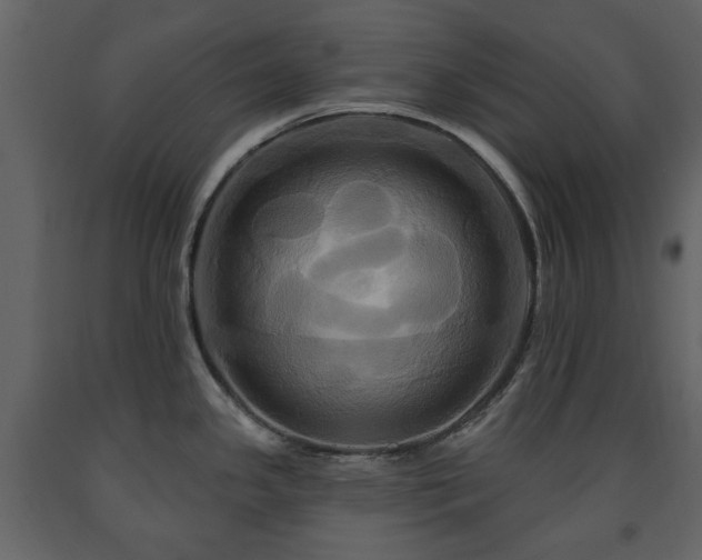 X0000091641341200708231150