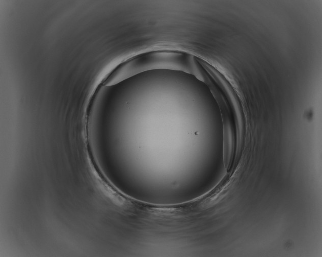 X0000091641342200708231150