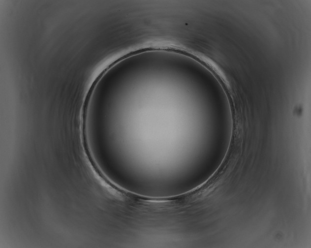 X0000091641343200708231150