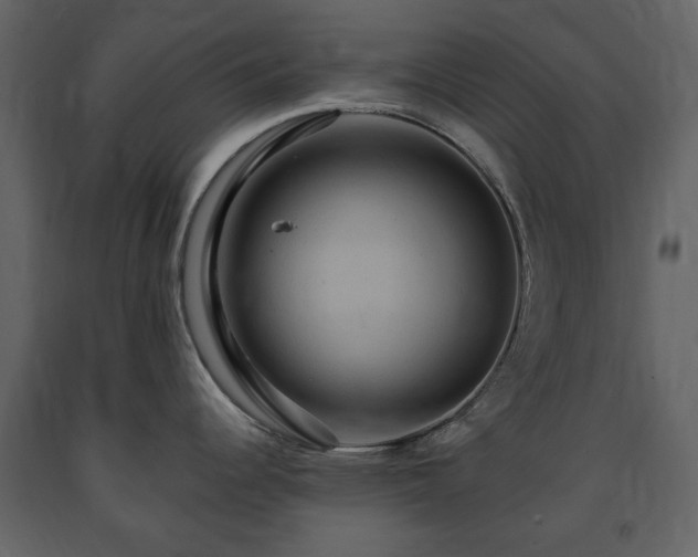 X0000091641344200708231150