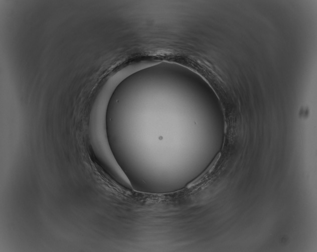 X0000091641345200708231149