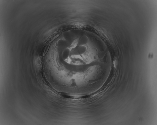 X0000091641347200708231149