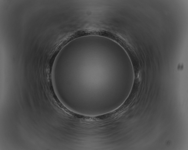 X0000091641348200708231149