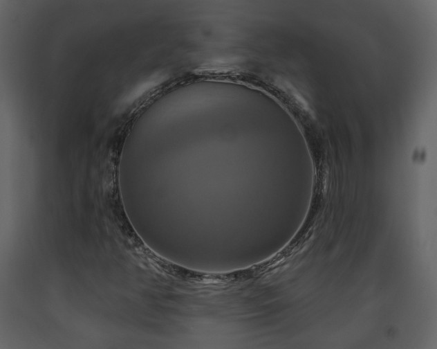 X0000091641350200708231149