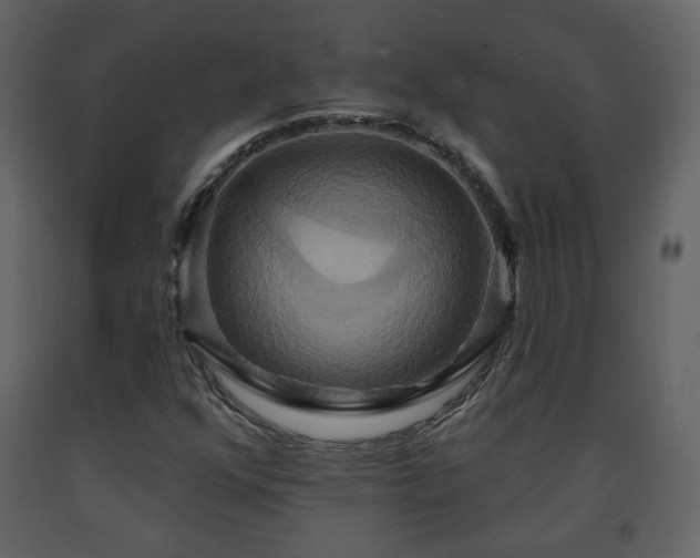 X0000091641352200708231149
