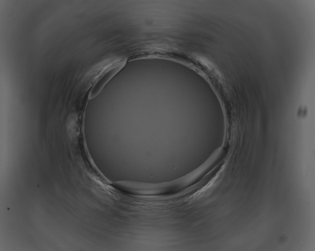 X0000091641353200708231149