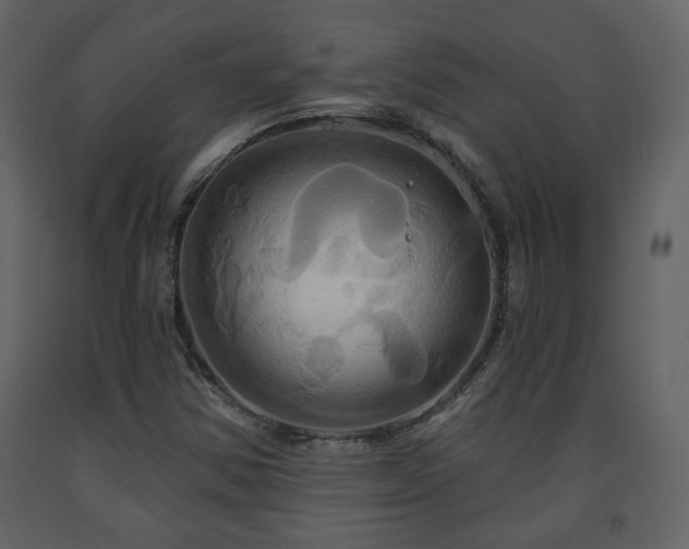 X0000091641354200708231149