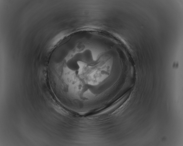 X0000091641355200708231149
