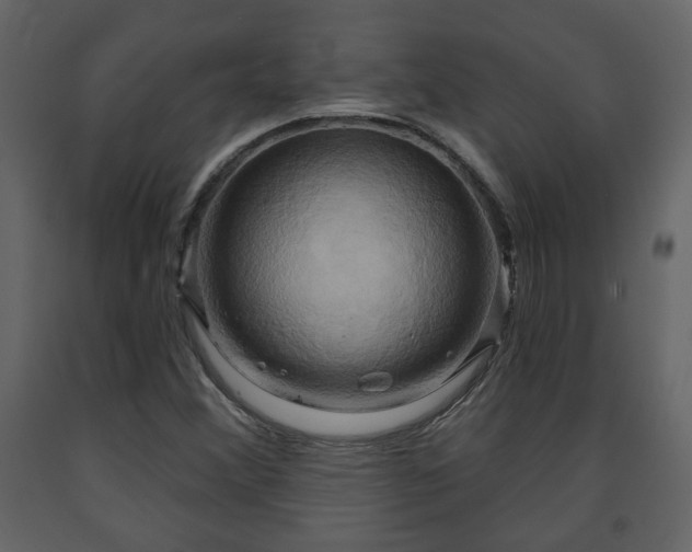X0000091641356200708231149