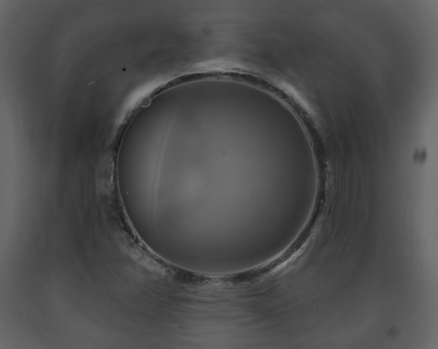 X0000091641358200708231149