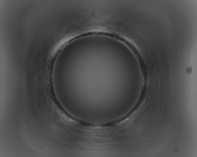 X0000091641359200708231149