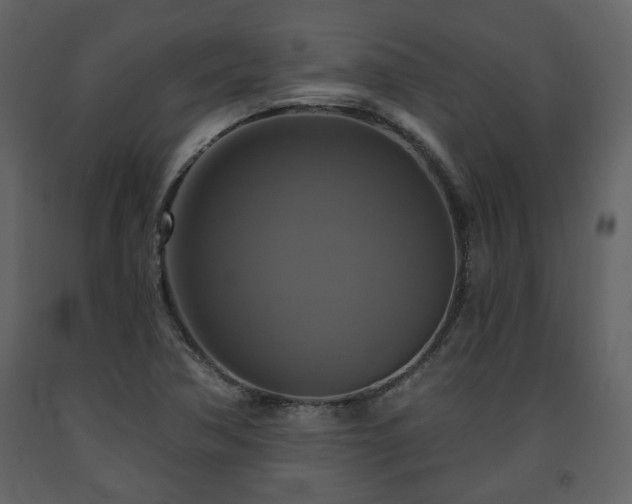 X0000091641362200708231149