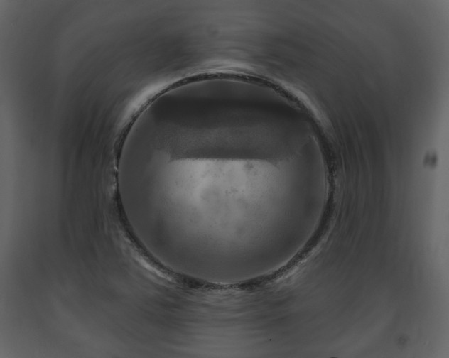 X0000091641363200708231149