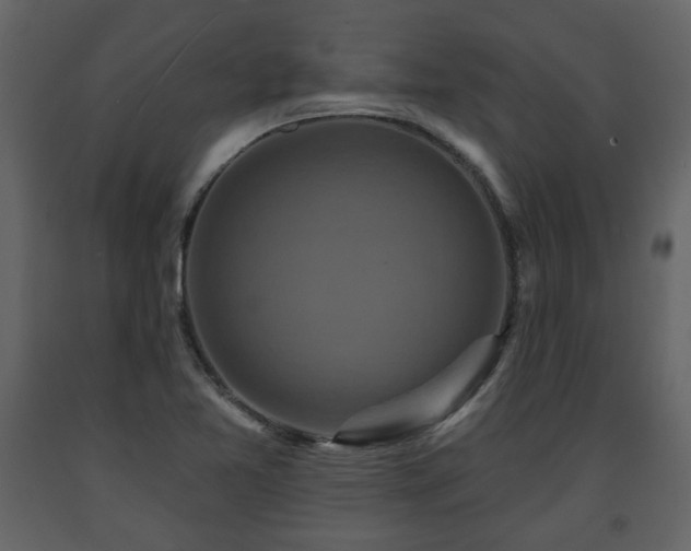 X0000091641365200708231149