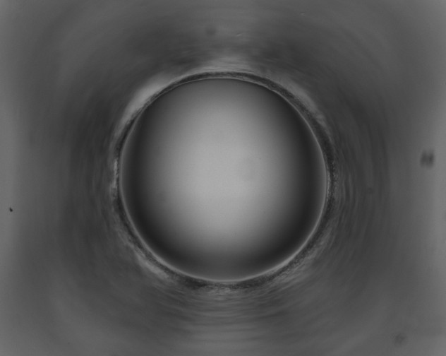 X0000091641366200708231149