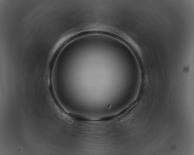 X0000091641368200708231149