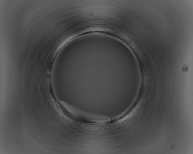 X0000091641369200708231149