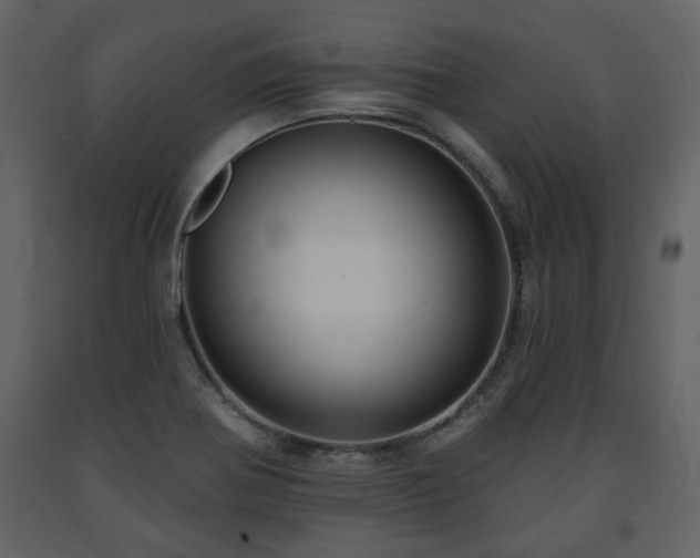 X0000091641370200708231149