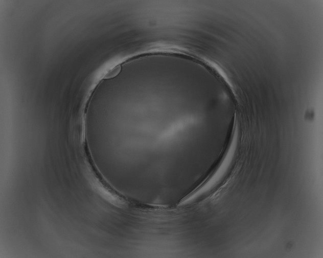 X0000091641371200708231149