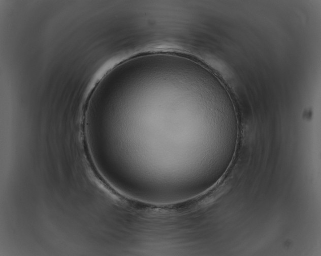 X0000091641374200708231149