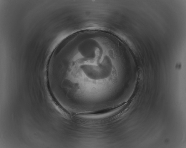 X0000091641375200708231149