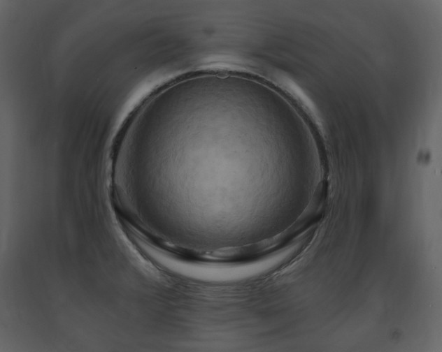 X0000091641376200708231149