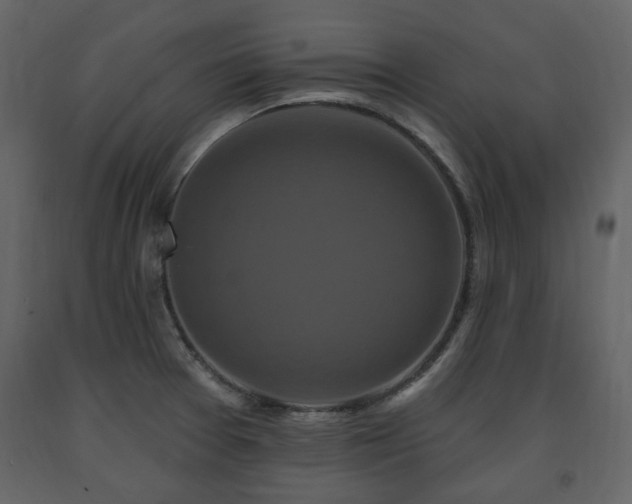 X0000091641377200708231149