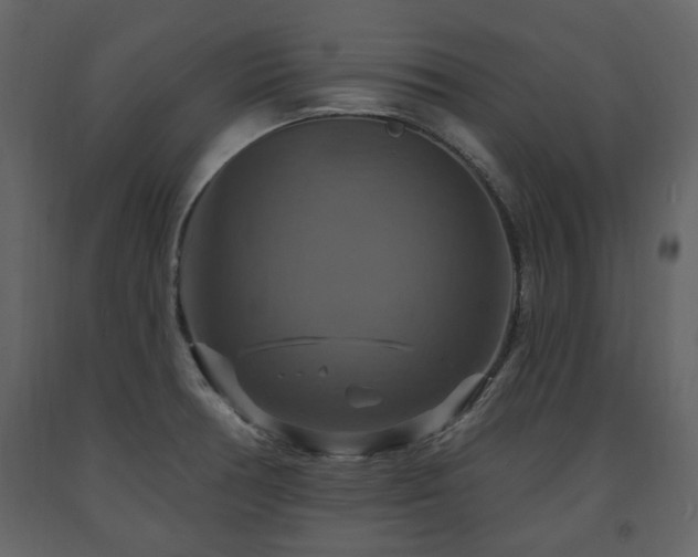 X0000091641378200708231149