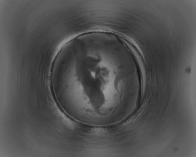 X0000091641379200708231149