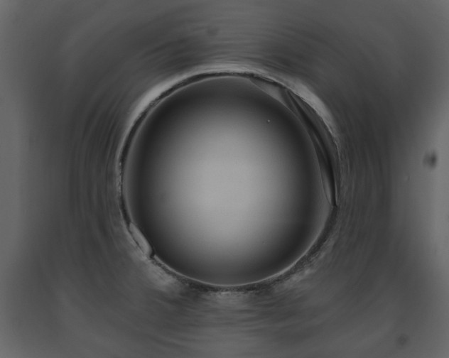 X0000091641380200708231149