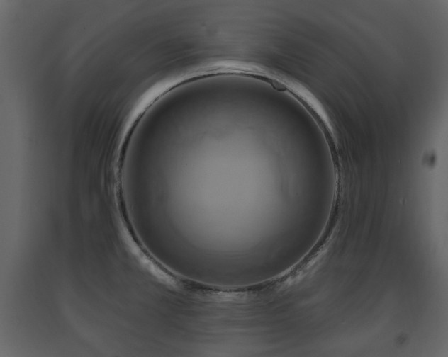 X0000091641381200708231149