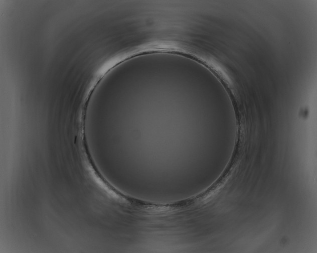 X0000091641382200708231149