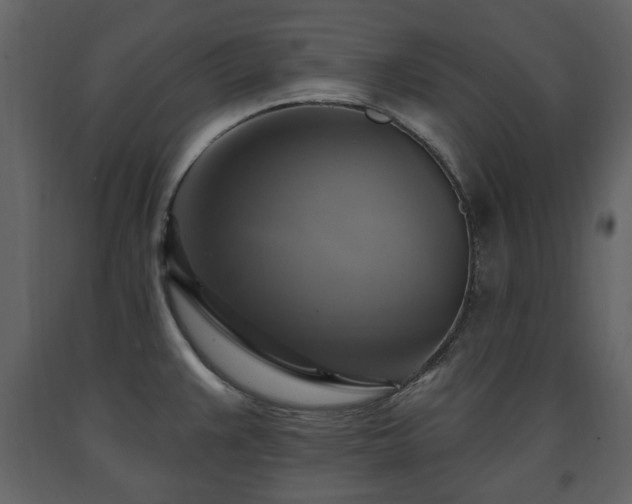 X0000091641383200708231149