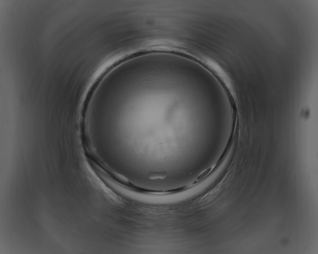 X0000091641384200708231149