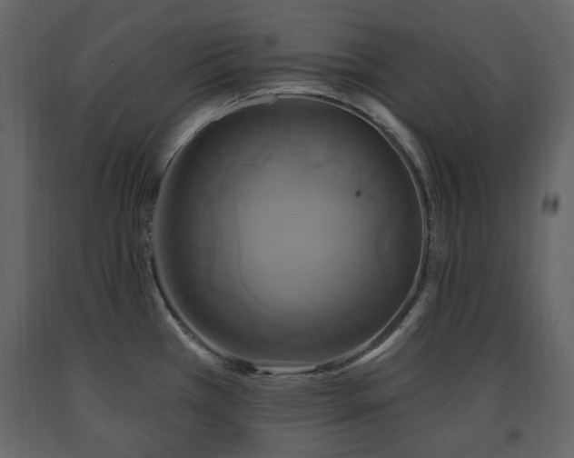 X0000091641385200708231149