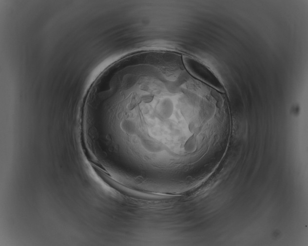 X0000091641387200708231149