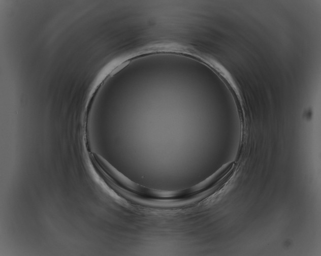 X0000091641389200708231149