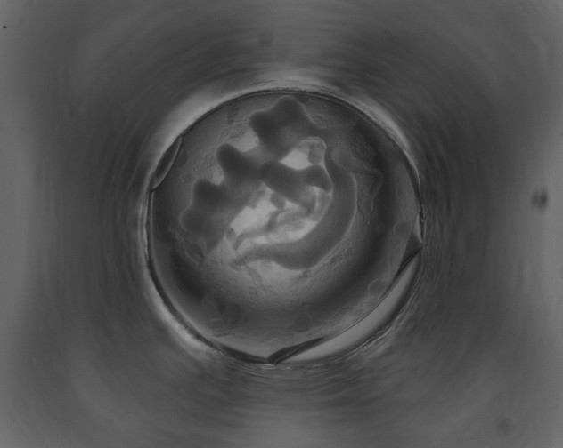 X0000091641391200708231149