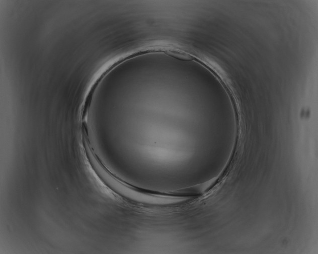X0000091641392200708231149